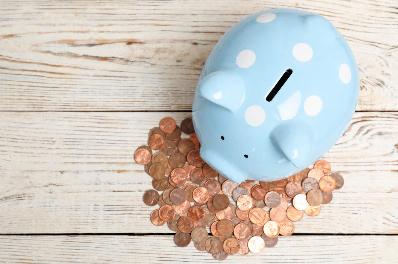 blue piggy bank